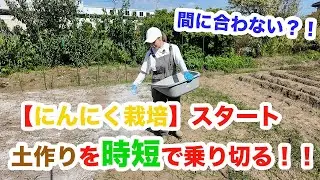 【にんにく栽培】土作り…手抜き？時短？大急ぎで追いつけ！植え付け間に合うか！？