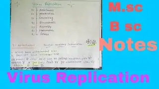 #Virus replication # Animal Virus multiplication #Notes#M.sc.botany1st  sem.