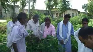 FACE TO FACE II :: AGRICOS & FARMERS