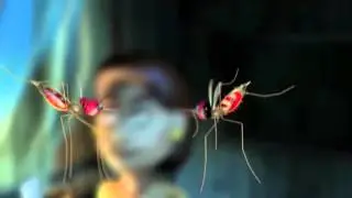 Stop Zika From Spreading 7