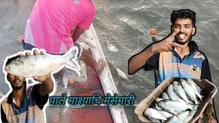 पाले माश्याचि मेसेमारी 😘 || जाली पूर्ण भरली पाले माश्यानि 😲 #Vlog  #fish #fishing 