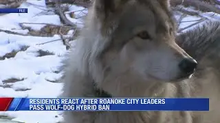 Roanoke bans wolf-dog ownership, residents express relief