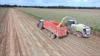 ENSILAGE 2019/CLAAS JAGUAR 970/10 RANGS.