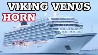 VIKING VENUS - HORN