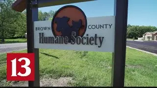 To the Rescue: Brown County Humane Society