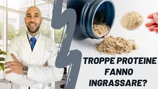 Troppe proteine fanno ingrassare?