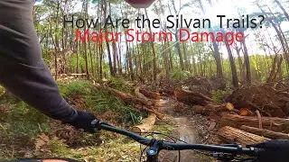 Finally Shredding Silvan Trails again - Part 1 | Bottlecaps | Igor | No Strava | Twisted Sister