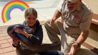 Our Sweetest and Most Beautiful Reticulated Python meets Brooke🤩🥰