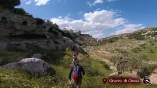 Laterza - Ginosa: Canyon ed habitat rupestre
