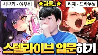 탈아이돌급이라는 스텔라이브 명곡찾기.. 오늘부터 ‘???’님이 최애입니다