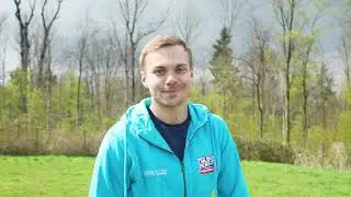 Der Welpe knabbert alles an