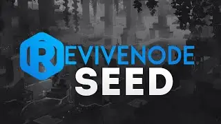 How to set a Seed | Revivenode