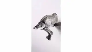 How to draw dragonfish in Chinese ink painting #homedecor #drawing #walldecor #国画 #tutorial #drawing