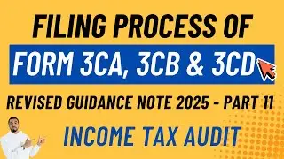 Form 3CA, 3CB & 3CD Explained | Tax Audit Report Filing under Section 44AB | @Personaltax 