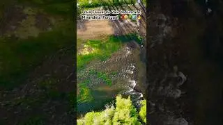 Praia Fluvial de Vale de Juncal 7, Mirandela, Portugal 🇵🇹🤩🌳🏞️👌