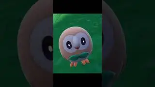 Top 5 Rowlet 🙏 #pokemon