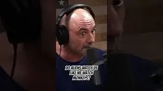 ARE ALIENS WATCHING US? Are We Just Monkeys in a Zoo? | Joe Rogan Edit