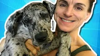 WE GOT A PUPPY!!! | BRIAN BARCZYK