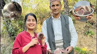 सिताके च्याउ खेती गर्दै आउनु भएका एक सेवानिवृत्त कर्मचारीको कथा|Lentinula edodes (shiitake mushroom)