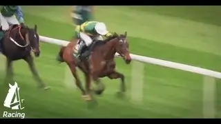 AP McCoy recalls his 2010 Grand National win | Aintree Festival 2013 | Channel 4 Racing