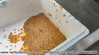 Passion Maker Fruit Juice Making Machine Test Delivery for Bosnia and Herzegovina Customer