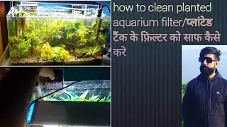 how to clean planted aquarium filter#