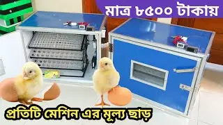 chicken egg incubator | incubating chicken eggs | hatching chicken eggs | শখের ইনকিউবেটর 