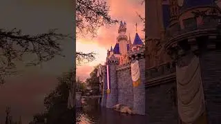 Whimsical castle views ✨️ #shorts #disneyland