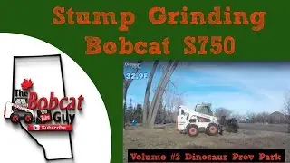 Bobcat Stump Grinding