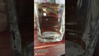 Betta Fish 🐠 breeding day 1 ‼️#aquarium #shots #trending #fish