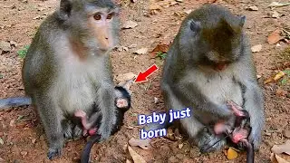 OMG, Anna is a old mom why nursing new baby Anissa like this?
