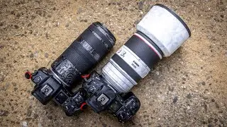 Canon RF 70-200mm f/2.8 или RF 100 400mm f/5.6-8 в путешествии? — Мои мысли/Выбор