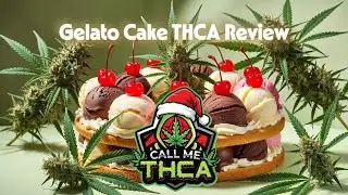 Gelato Cake THCA Review - Call Me THCA - Chief Freedom's Hemp Reviews