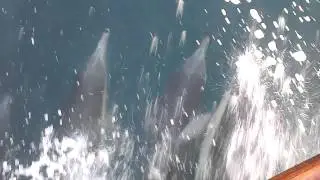 VID-20120111-00001