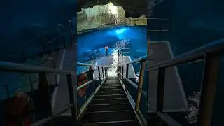 Snorkeling at Devil's Den Prehistoric Spring 2025! #snorkeling #devilsden