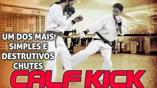 Chute simples e destrutivo: low calf kick tutorial ( Kudo - MMA japonês )