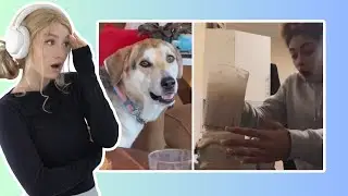 Funniest Internet Clips REACTION!!!