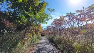 The Don Valley Trail System and the Lower Don Trail