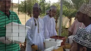 يوم الشجرة