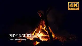 4K Dark Forest Campfire 🔥 Crackling Fire Sounds for Sleep & Relaxation