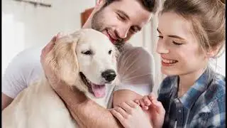 Can I buy pet insurance for multiple pets?