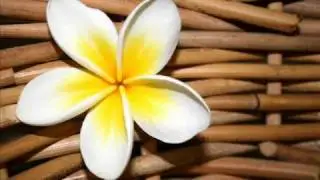 Corciolli - Jasmin