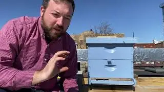 Getting into Hive Monitoring