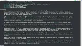 Michael's Git Tutorial - Branching 101