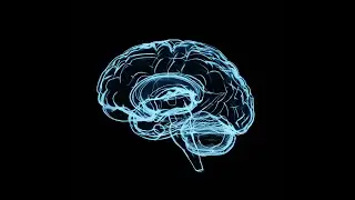 Human Brain holographic Render | | Eevee Render | | Blender 3.3.1
