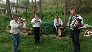 Гурт 
