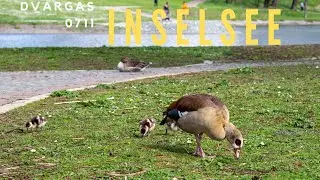Stuttgart | Inselsee | Stadtstrand | March 2023