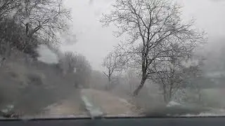 The magic of falling snow!❄️
