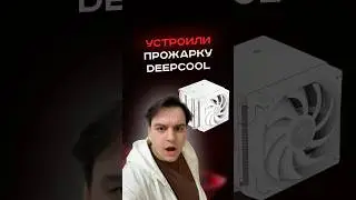 Устроили прожарку DeepCool #пк #игры #сборкапк