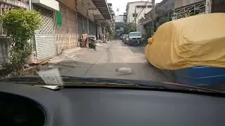 Cat Stops Traffic || ViralHog